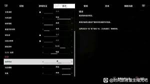 如何配置“时间旅者重生曙光”的画面：详细设置指南