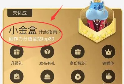 关于盒马鲜生app账号等级的详细说明