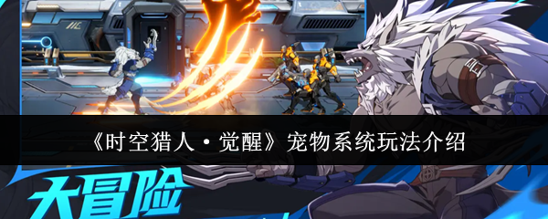 《时空猎人·觉醒》宠物系统玩法详解 《时空猎人·觉醒》宠物系统玩法详解