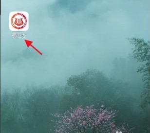 鄂汇办APP房产税查询入口指南