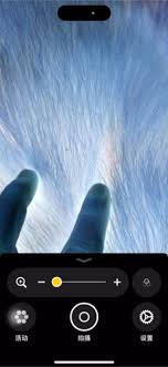 苹果手机中的“检查虫子”功能该如何操作?——详细使用指南
苹果手机中的“检查虫子”功能该如何操作?——详细使用指南