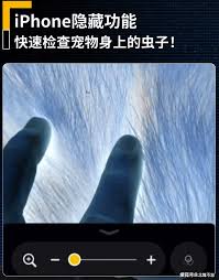苹果手机中的“检查虫子”功能该如何操作?——详细使用指南
苹果手机中的“检查虫子”功能该如何操作?——详细使用指南