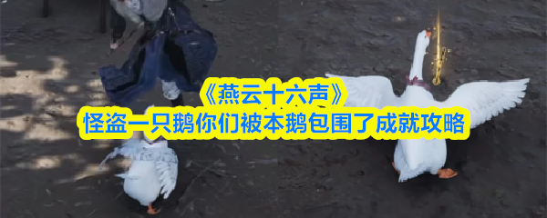 《燕云十六声》中“怪盗一只鹅”活动的成就“你们被本鹅包围了”达成办法详解