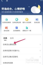 如何一次性偿还京东白条全部未付金额——京东白条一次性还款的详细指南
