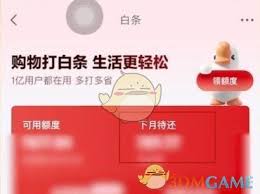 如何一次性偿还京东白条全部未付金额——京东白条一次性还款的详细指南
