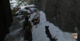 如何在羊蹄山之魂中获得灵兔福缘的秘密-羊蹄山之魂灵兔福缘的获取途径