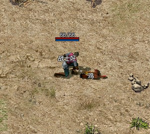 新开网通传奇游戏服务器发布平台 新开网通传奇游戏服务器发布平台