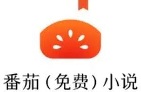 想要在番茄小说平台上成功投稿，如何操作才算得上规范而高效？
