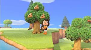 动物森友会中种树技巧详解——动物森友会如何成功栽培树木
动物森友会中种树技巧详解——动物森友会如何成功栽培树木