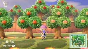 动物森友会中种树技巧详解——动物森友会如何成功栽培树木
动物森友会中种树技巧详解——动物森友会如何成功栽培树木