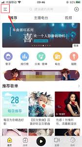 酷我音乐如何启用摇晃换歌功能——具体设置指南

