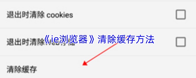 《ie浏览器》缓存数据清除的详细步骤