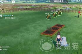 伊莫家园的玩法如何操作——全面指南解析 伊莫家园的玩法如何操作——全面指南解析