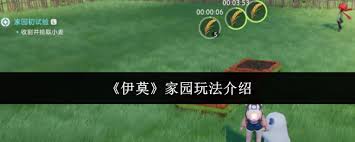 伊莫家园的玩法如何操作——全面指南解析 伊莫家园的玩法如何操作——全面指南解析