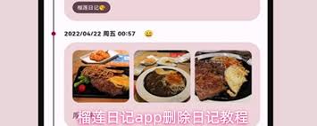 如何安全退出榴莲日记应用账号——详细的账户注销步骤指南 如何安全退出榴莲日记应用账号——详细的账户注销步骤指南