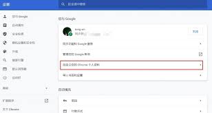 如何在谷歌浏览器中更换个人头像 — 让你的浏览器展现独特个性