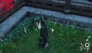 燕云十六声中“凌空取物”技能的主要用途有哪些？它的作用究竟体现在哪些方面？ 

