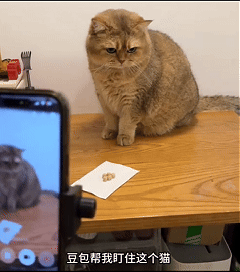 豆包,堪称人工智能界中最苛刻的“导师”。
豆包,堪称人工智能界中最苛刻的“导师”。