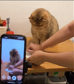 豆包,堪称人工智能界中最苛刻的“导师”。
豆包,堪称人工智能界中最苛刻的“导师”。