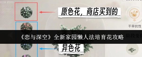 《恋与深空》全新家园养花懒人指南：简易培育技巧一览