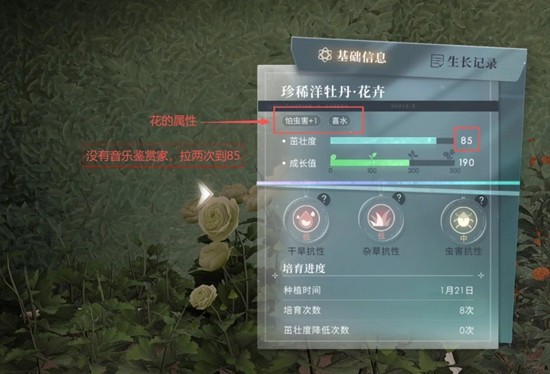 《恋与深空》全新家园养花懒人指南：简易培育技巧一览