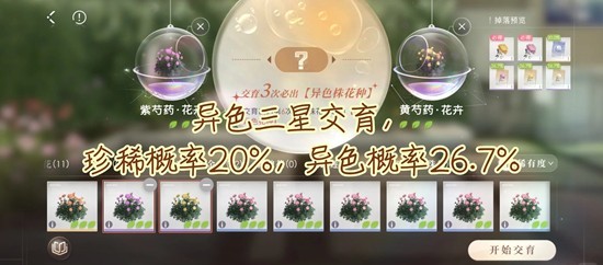 《恋与深空》全新家园养花懒人指南：简易培育技巧一览