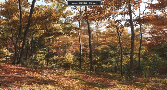 《地平线6》引入融合日本文化元素的季节系统：夏季展现锦鲤风采，秋季则呈现云海奇观