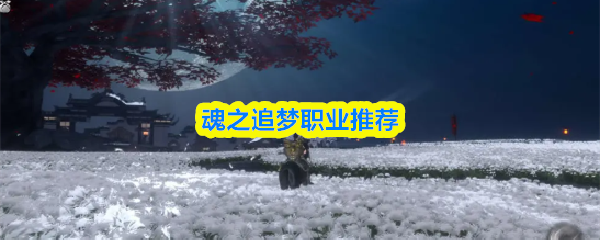 魂之追梦各职业特色解析