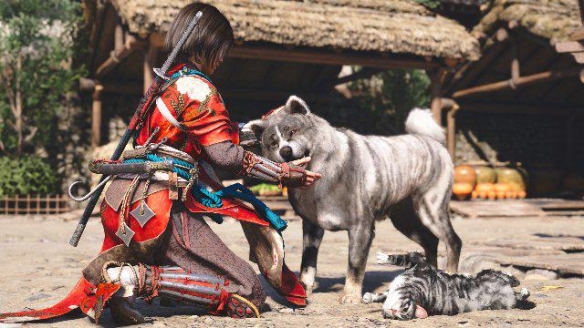 《刺客信条：影》到底值不值得入手？核心体验一文帮你全面剖析