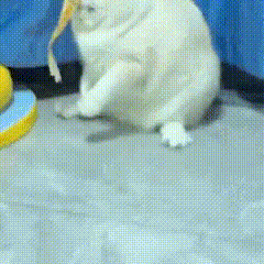 想象一下，美女似乎飞向我而来，这背后竟隐藏着意外的惊喜——只需关闭一个抽屉便能发现更多精彩内容！