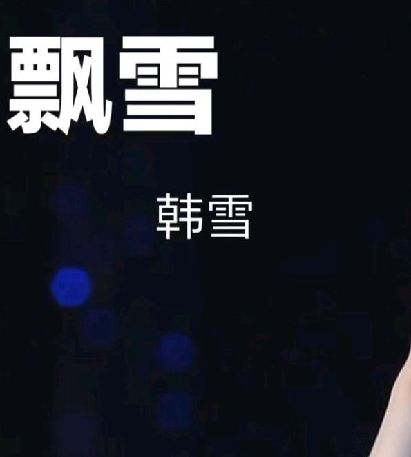 飘雪网在线观看免费观看BD