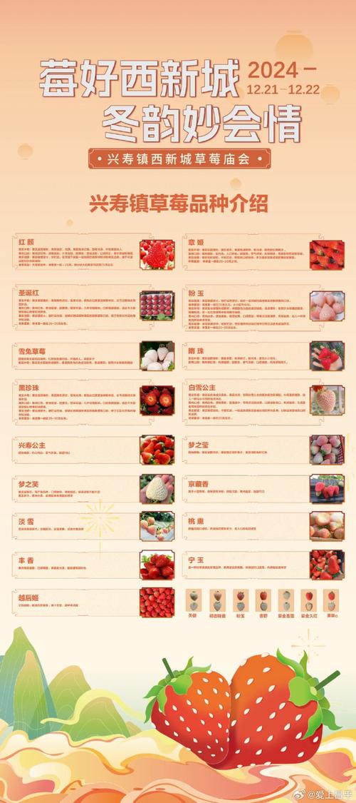 草莓榴莲向日葵18岁大全列表污