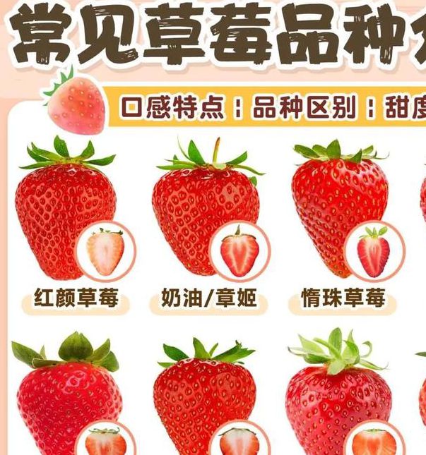 草莓榴莲向日葵18岁大全列表污