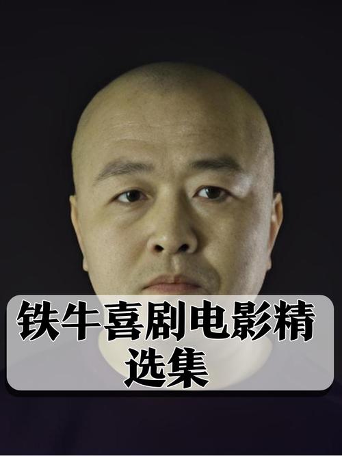 铁牛视频无限播放