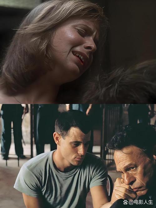 午夜快车神马影视