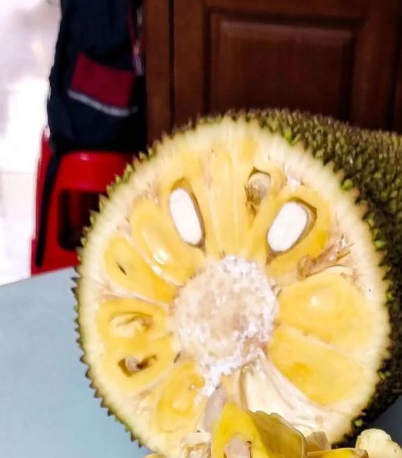 菠萝蜜视频播放器