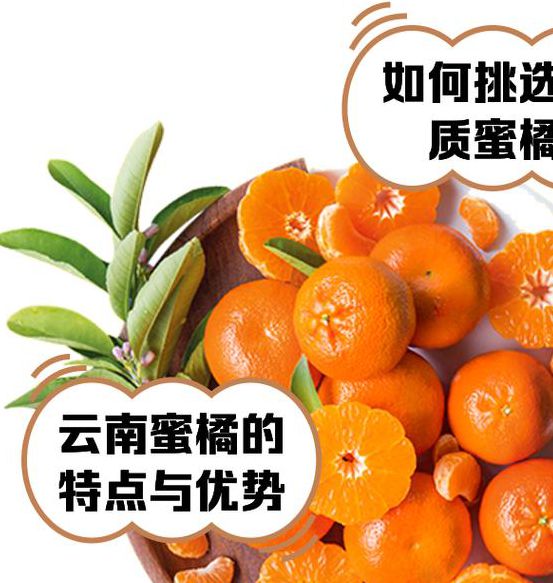 japonensisjava蜜橘出入