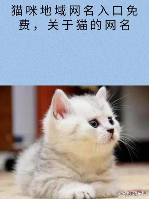谁能给我新版猫咪社区的地址