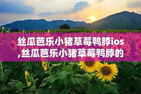 草莓丝瓜小猪app鸭脖免费版