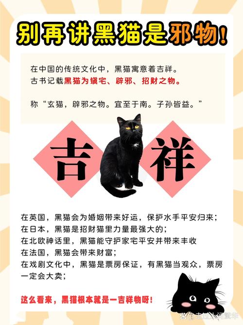 黑猫会官网版