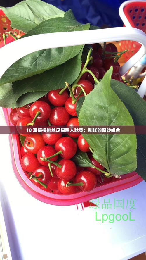 草莓樱桃丝瓜绿巨人秋葵番茄大全