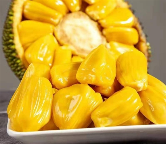 菠萝菠萝蜜视频免费观看4