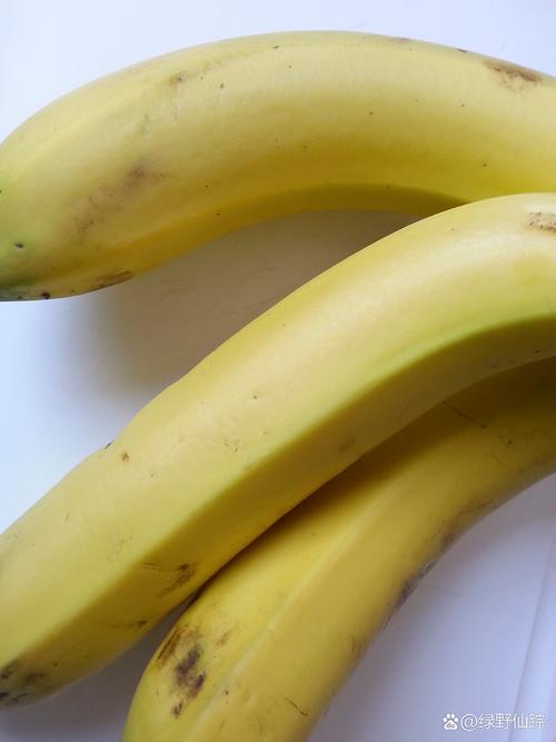 伊在人间香蕉最新视频