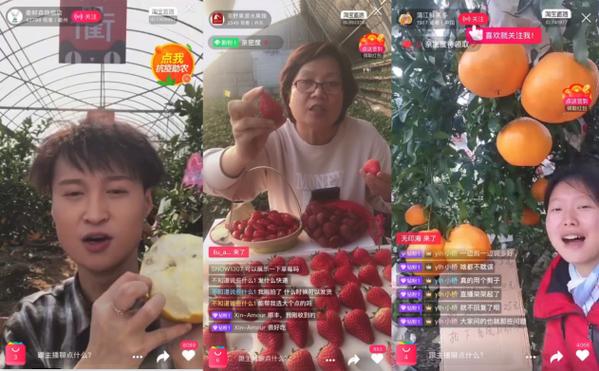 大草莓直播分享版