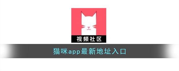 猫咪社区黄版app直接进