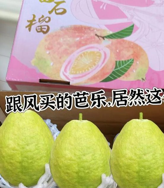 芭乐汅api在线观看