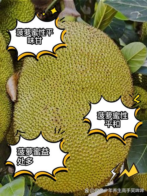 菠萝菠萝蜜在线观看视频