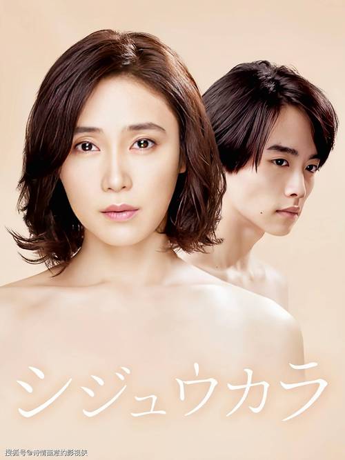 忘忧草社区日本在线资源免费版