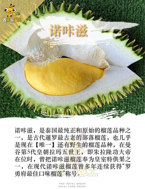 榴莲.combo2.0免费