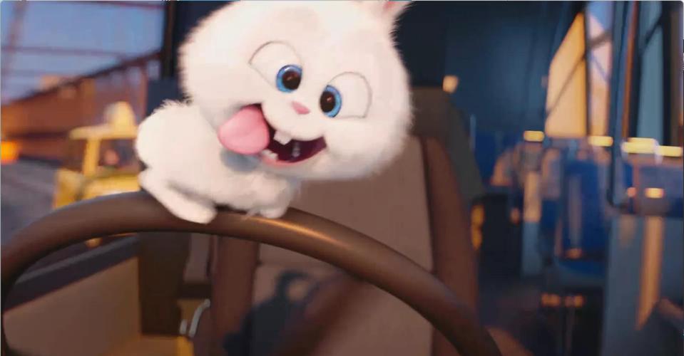 大白兔污影院在线观看